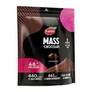 آشنایی با محصول پودر MASS وزن 650 گرم